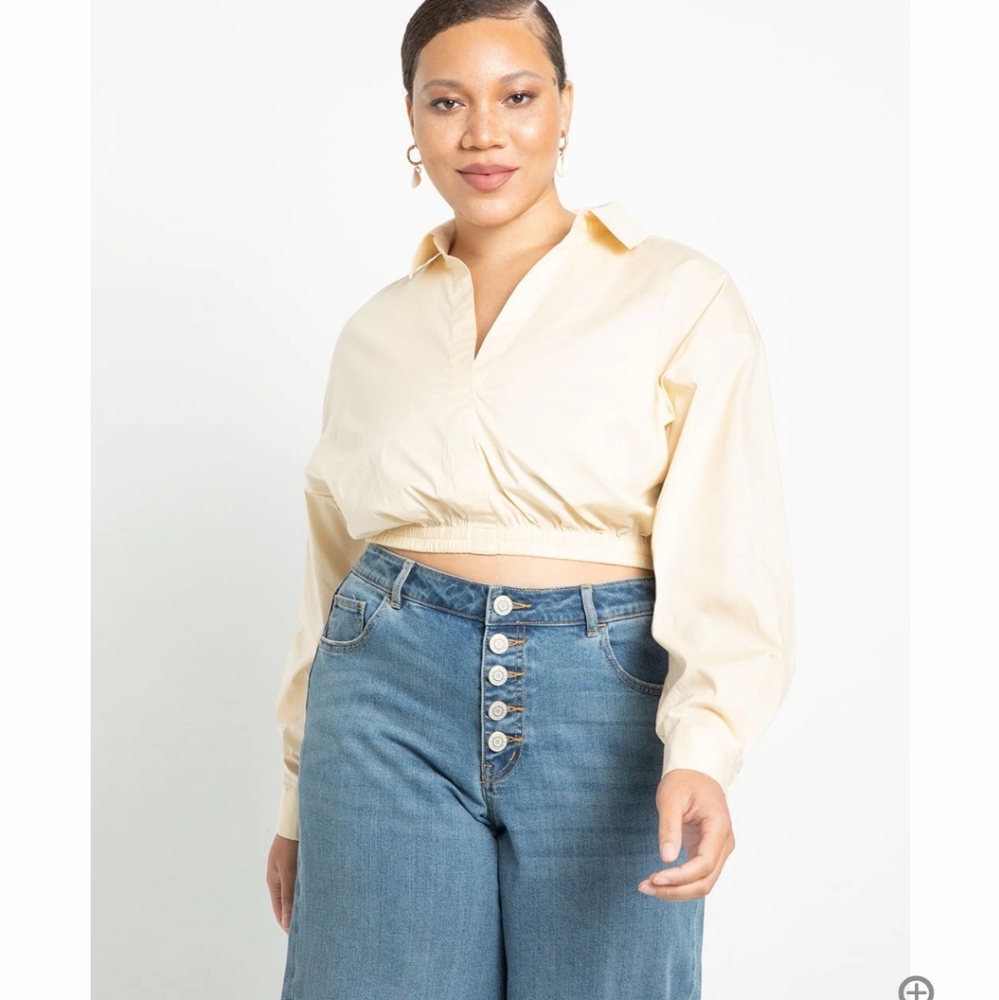Eloquii crop top